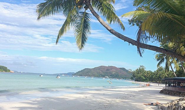 Hôtel Paradise Sun 4* pas cher photo 24