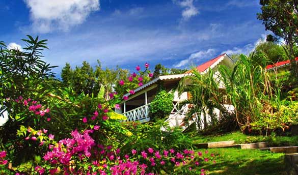 Hôtel Ti Kaye Village 3* pas cher photo 3