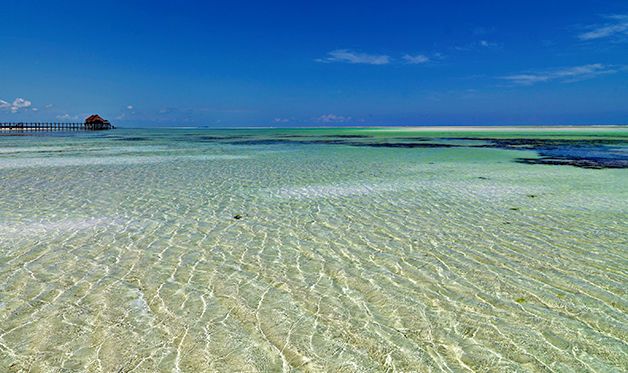 Hôtel Melia Zanzibar 5* pas cher photo 10