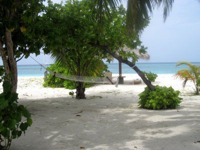 Hôtel Kuredu Island Resort et Spa 4* pas cher photo 5