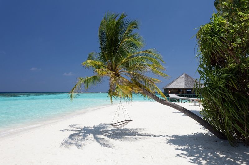 Hôtel Vilamendhoo Island Resort et Spa 4* pas cher photo 10