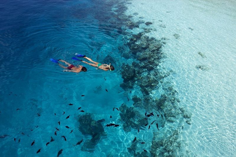 Hôtel Vilamendhoo Island Resort et Spa 4* pas cher photo 11