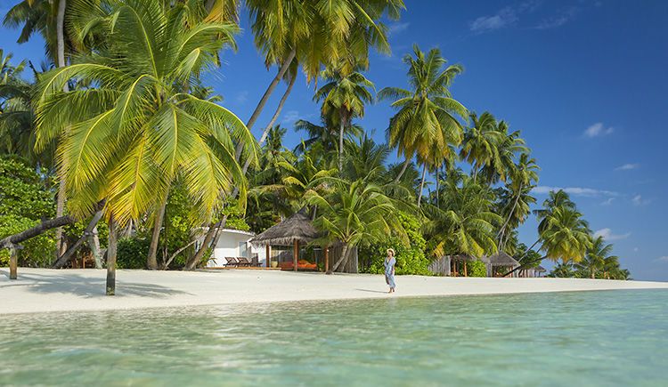 Hôtel Sun Aqua Vilu Reef 5* pas cher photo 17
