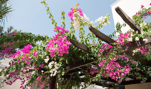 Mondi Club Hôtel Cactus Mirage Family 4* pas cher photo 16