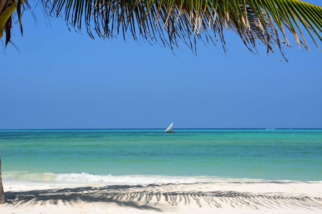 Hôtel Neptune Pwani Beach Resort & Spa 5* pas cher photo 16