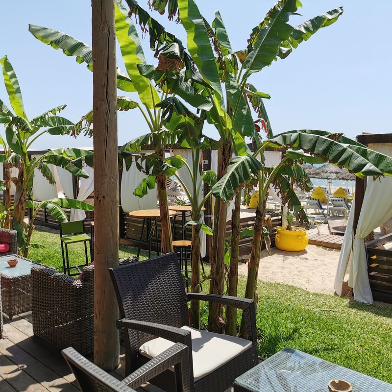 Hôtel Royal Nozha 4* pas cher photo 10