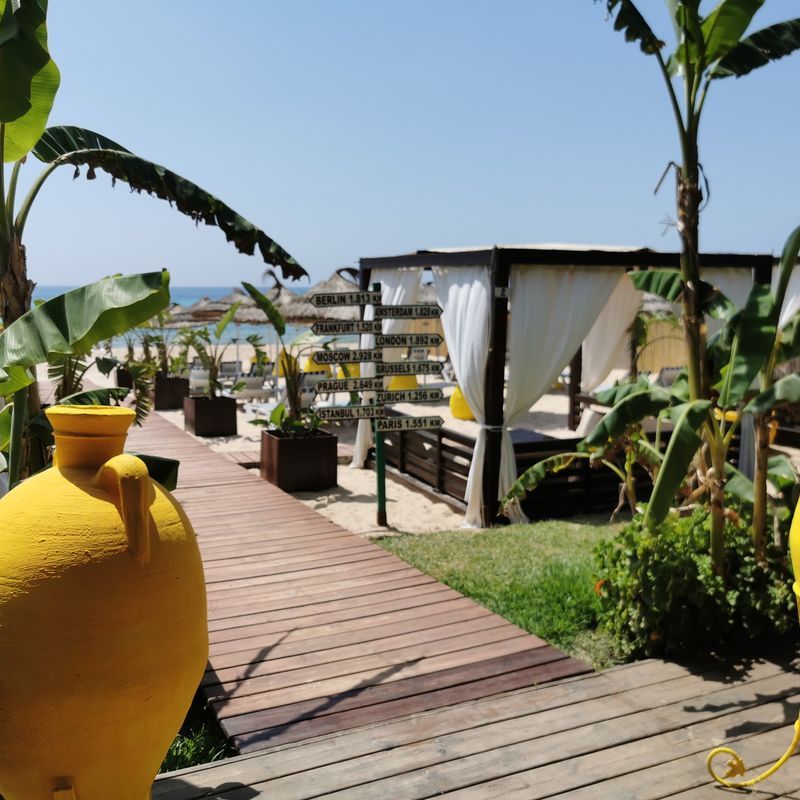 Hôtel Royal Nozha 4* pas cher photo 25