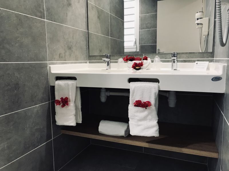 Résidence Hôtelière Diamant les Bains 4* avec location de voiture pas cher photo 4