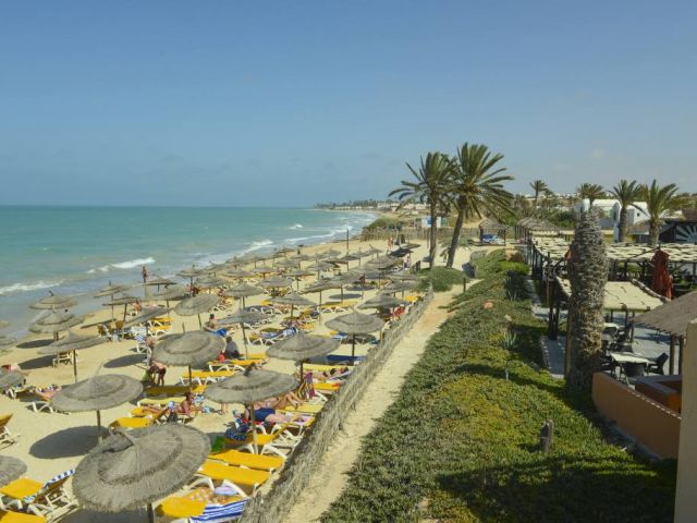 Hôtel Safira Palms 4* pas cher photo 11