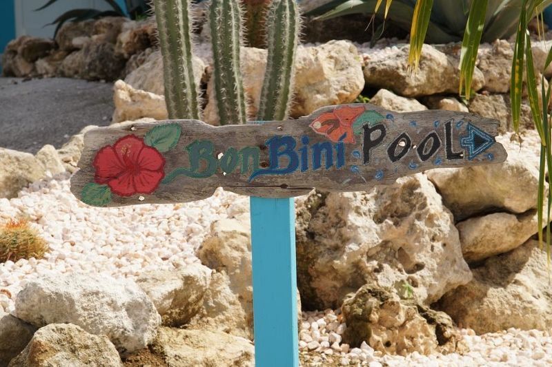 Hôtel Bon Bini Seaside Resort Curaçao 3* pas cher photo 12
