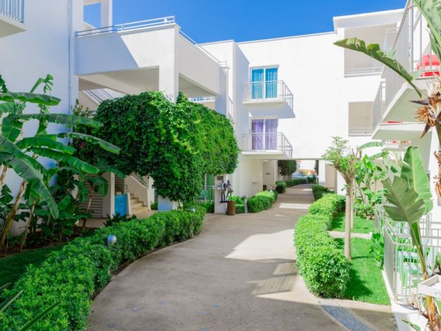 Hôtel Mondi Club Armonia Holiday Village & Spa 5* pas cher photo 5