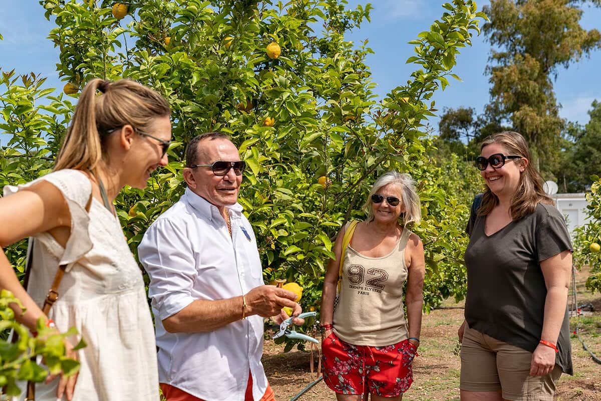 Hôtel Club Lookéa Lena Mary 3* sup pas cher photo 16