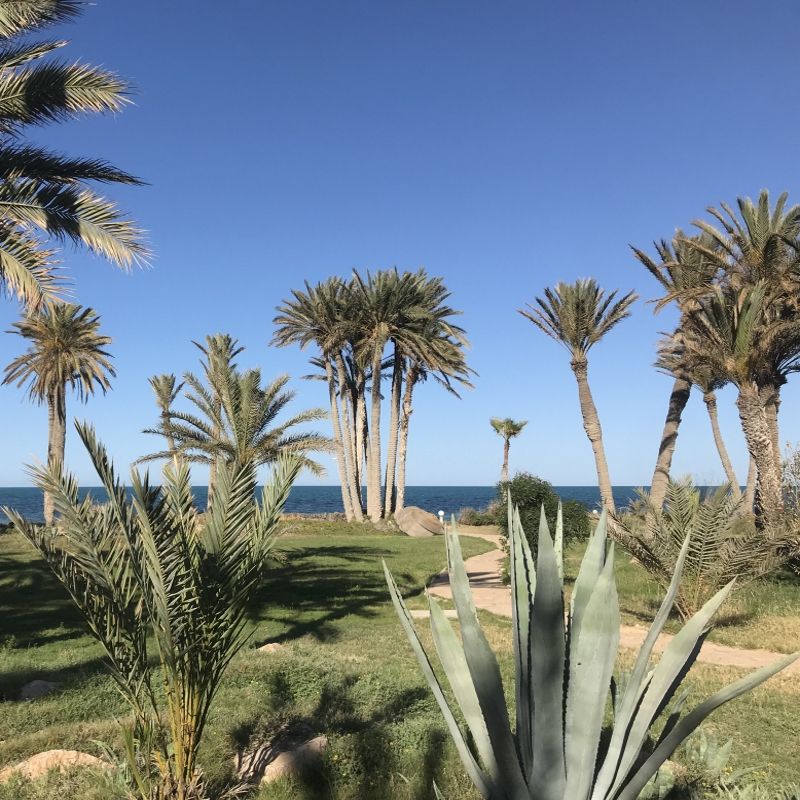 Mondi Club Hôtel Zita Beach Resort 4* pas cher photo 10