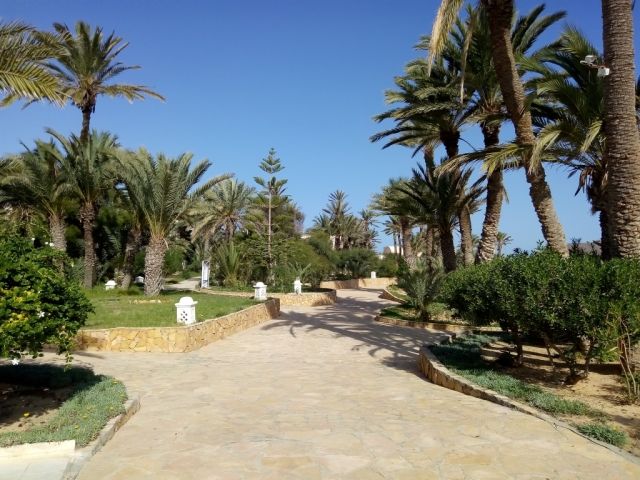 Mondi Club Hôtel Zita Beach Resort 4* pas cher photo 12