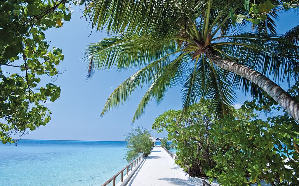 Hôtel Makunudu Island 5* pas cher photo 6