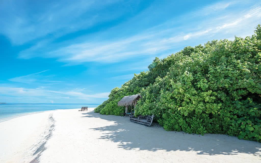 Hôtel Makunudu Island 5* pas cher photo 5