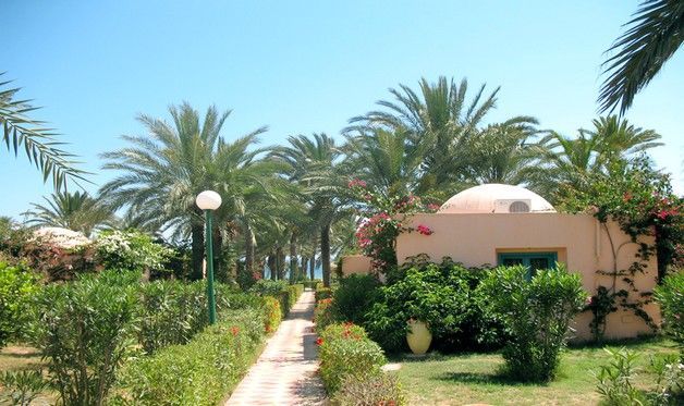 Hôtel Oasis Marine Club 3* sup pas cher photo 10