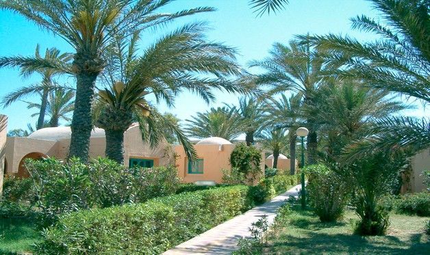 Hôtel Oasis Marine Club 3* sup pas cher photo 11