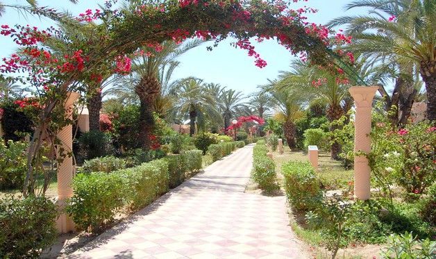 Hôtel Oasis Marine Club 3* sup pas cher photo 12