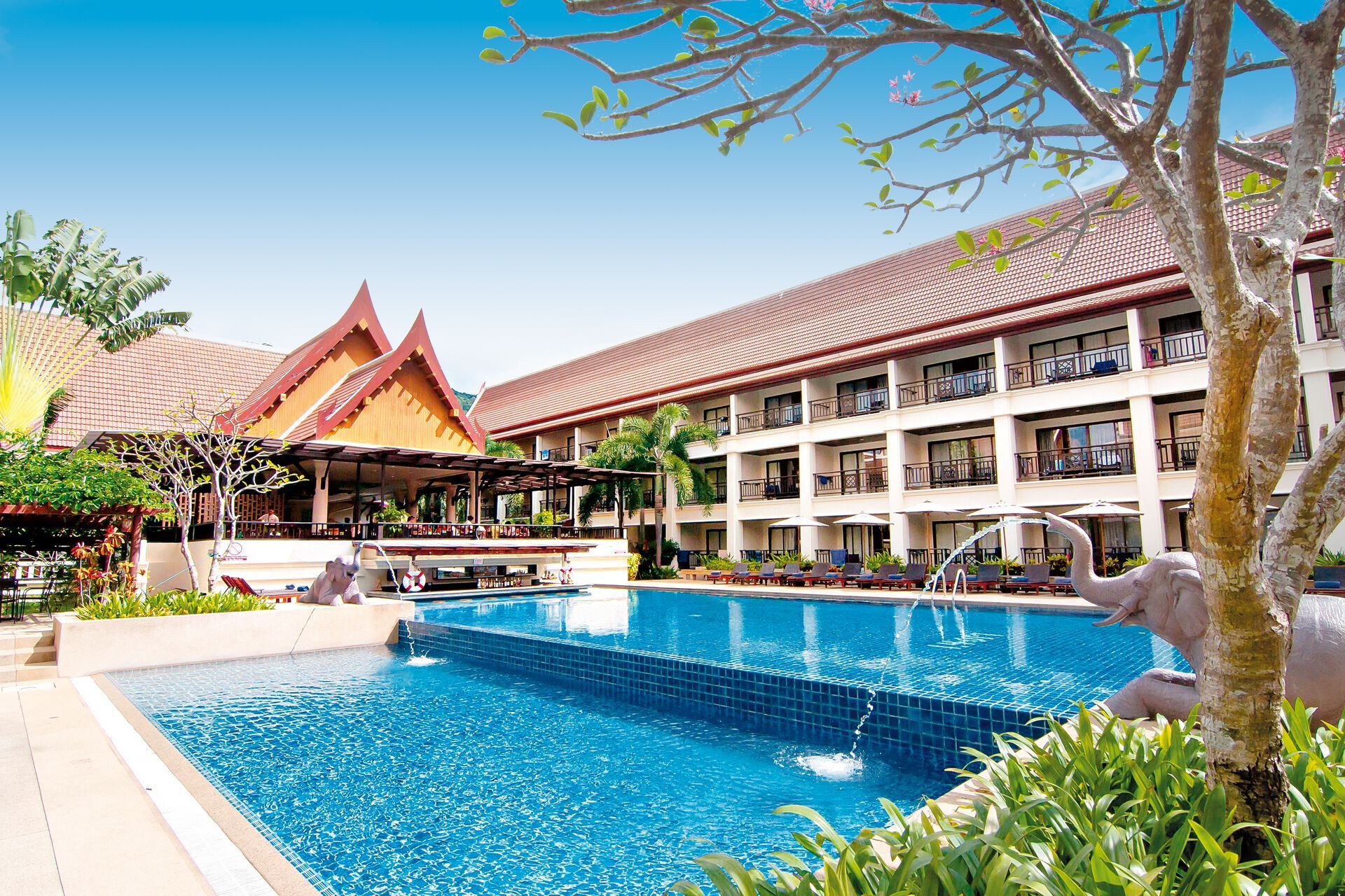 Hôtel Deevana Patong Resort et Spa 3* pas cher photo 1
