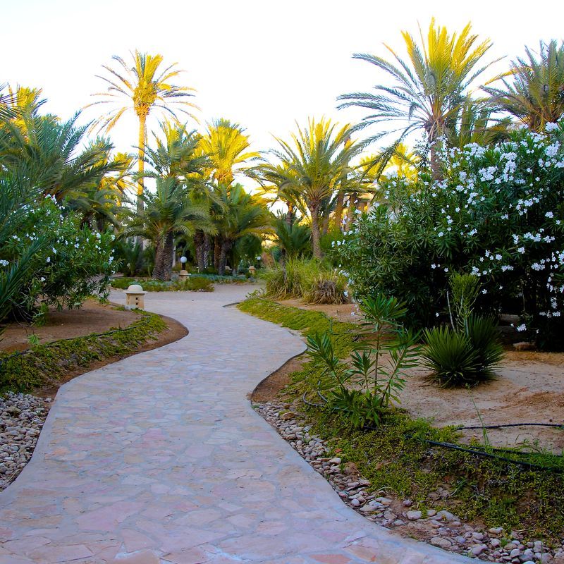 Hôtel Mondi Club Zita Beach Resort 4* pas cher photo 13