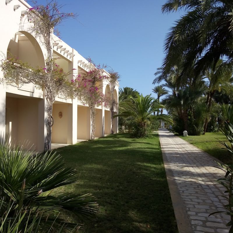 Hôtel Mondi Club Zita Beach Resort 4* pas cher photo 14