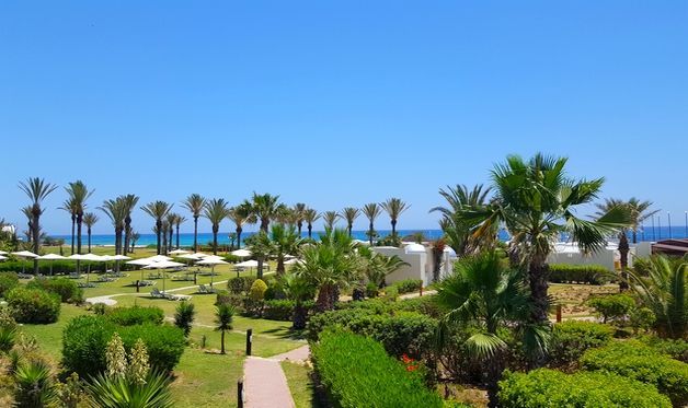 Hôtel Delfino Beach Resort 4* pas cher photo 15