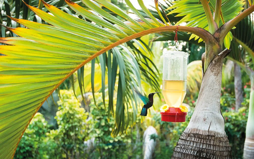 Villa Wilana pas cher photo 2