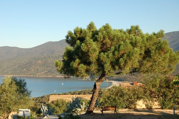 Résidence de tourisme Alba Rossa 3* pas cher photo 4