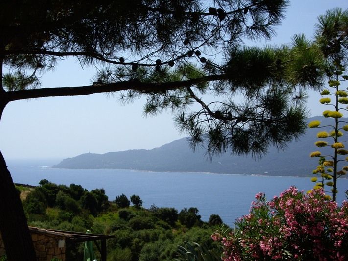 Résidence de tourisme Alba Rossa 3* pas cher photo 10