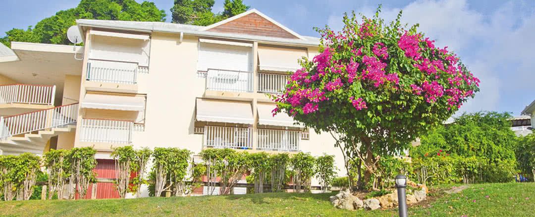 Résidence Tropicale avec location de voiture incluse pas cher photo 12