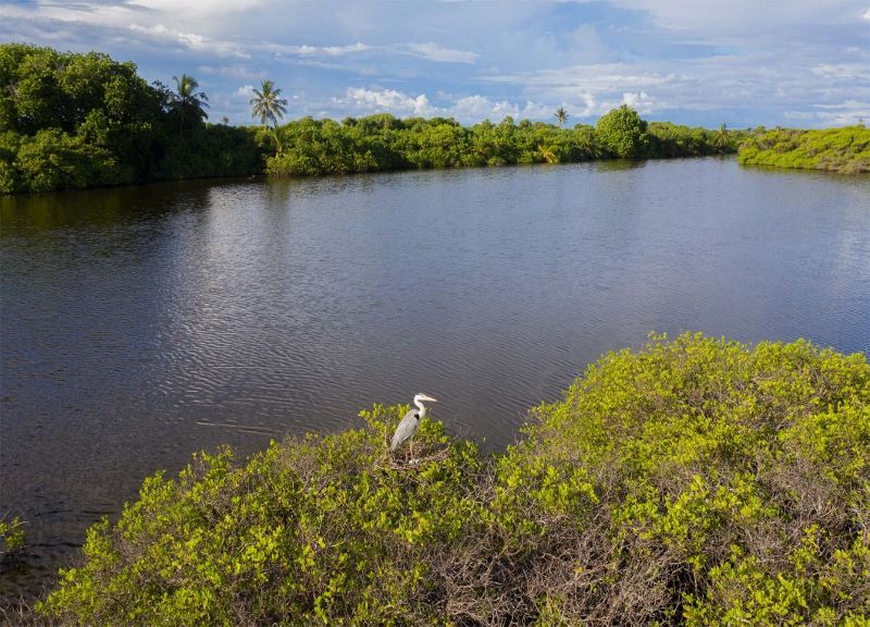 Hôtel Equator Village Resort 3* pas cher photo 10