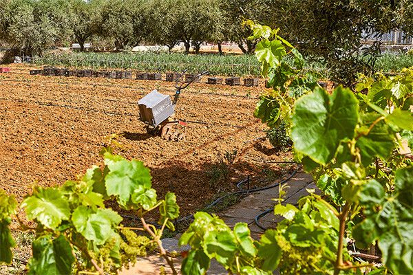 Hôtel Hara Ilios Village 4* pas cher photo 18