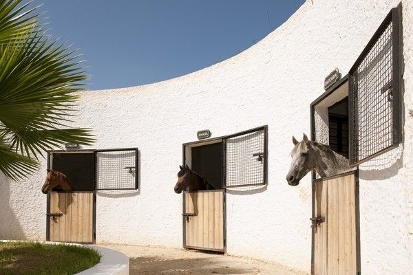 Hôtel Sentido Phénicia 4* pas cher photo 16