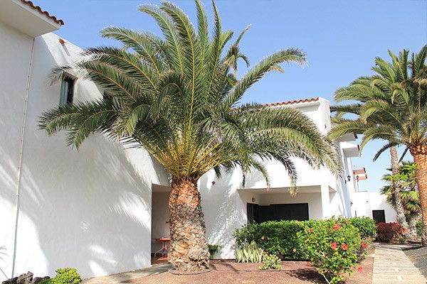 Hôtel Puerto Caleta 2* pas cher photo 10