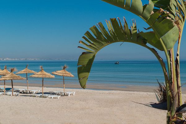 Hôtel Iberostar Kuriat Palace 5* pas cher photo 2