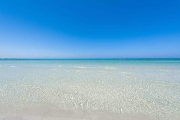 Hôtel Iberostar Kuriat Palace 5* pas cher photo 3