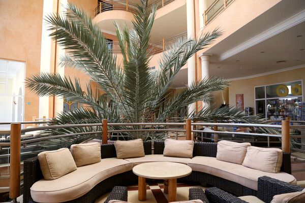 Hôtel Eden Star 4* pas cher photo 18