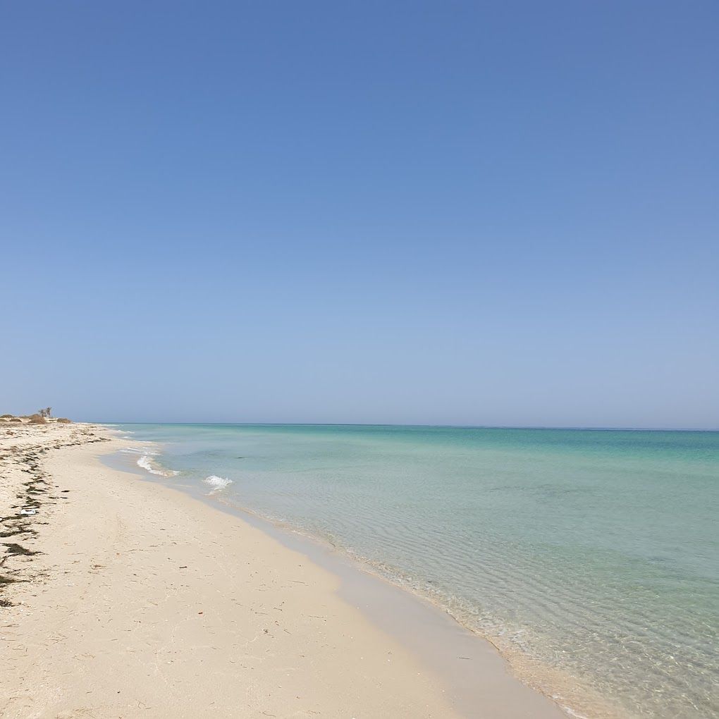 Hôtel Magic Life Penelope Beach 4* pas cher photo 3