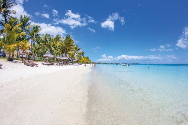 Hôtel Le Palmiste 3* sup pas cher