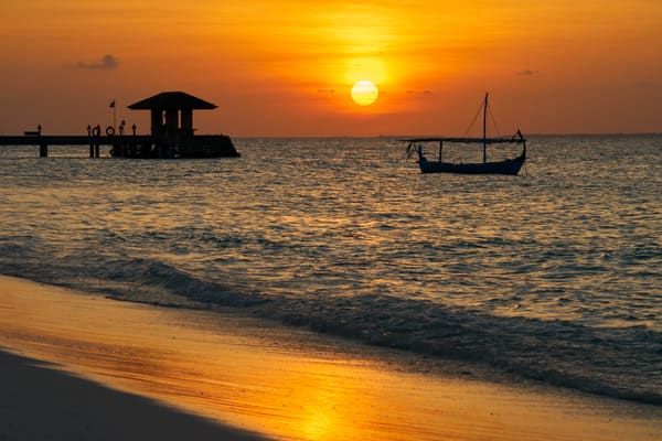 The Barefoot Eco Hôtel Maldives 4* pas cher photo 9