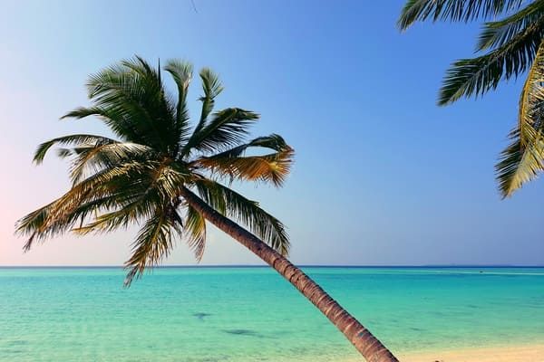 The Barefoot Eco Hôtel Maldives 4* pas cher photo 16