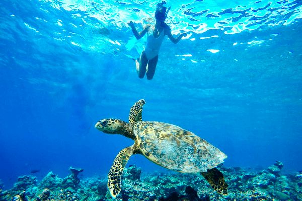 The Barefoot Eco Hôtel Maldives 4* pas cher photo 22