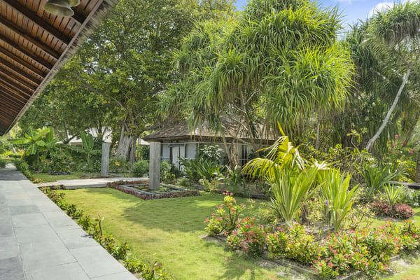 The Barefoot Eco Hôtel Maldives 4* pas cher photo 25
