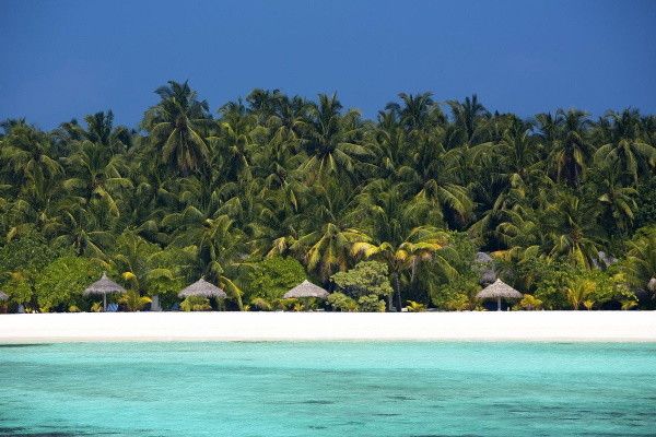 Hôtel Filitheyo Island Resort 4* pas cher photo 5