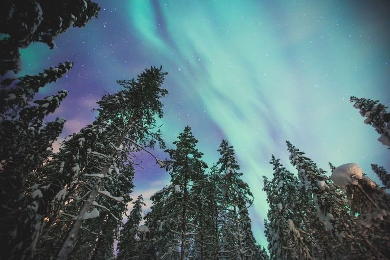 Hôtel Club Coralia Laponie Ivalo 4* pas cher photo 3