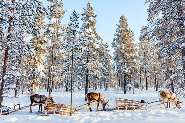 Hôtel Club Framissima Holiday Club Laponie 3* pas cher photo 1