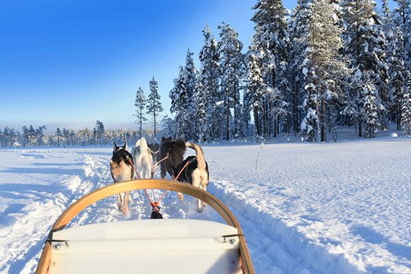 Hôtel Club Framissima Holiday Club Laponie 3* pas cher photo 4