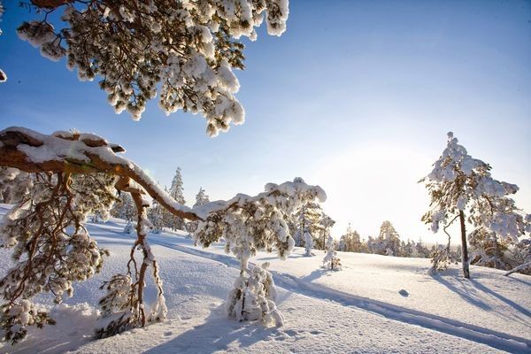 Hôtel Club Framissima Holiday Club Laponie 3* pas cher photo 5