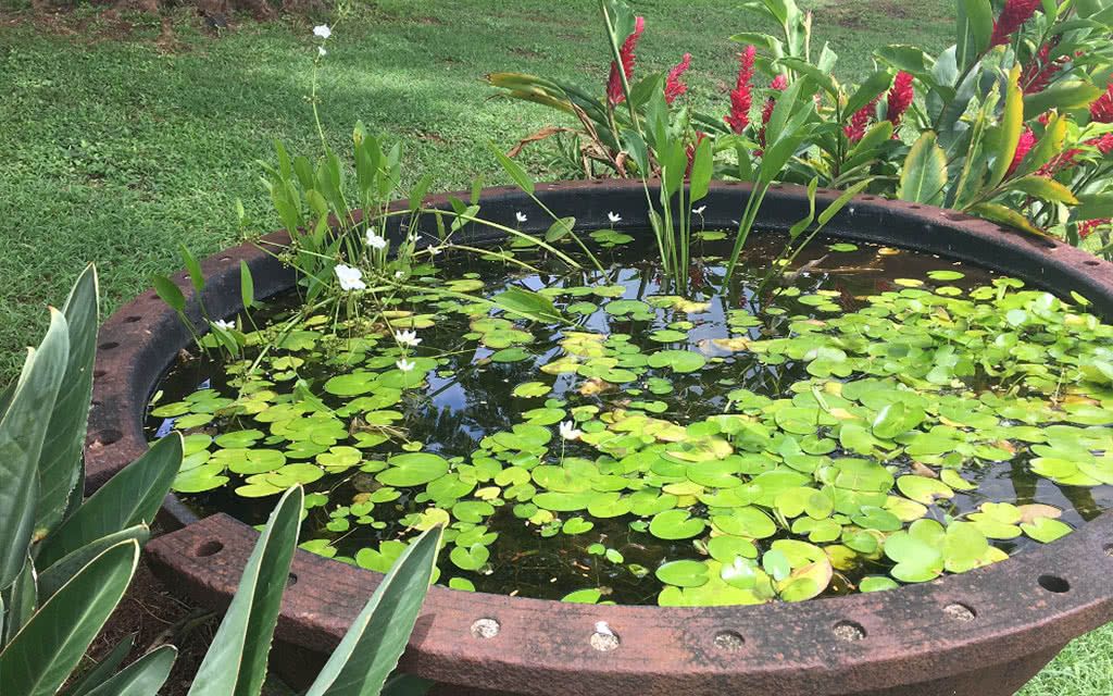 Domaine de Gaiac pas cher photo 7